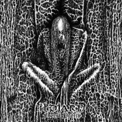 ILDJARN - Forest Poetry (CD)